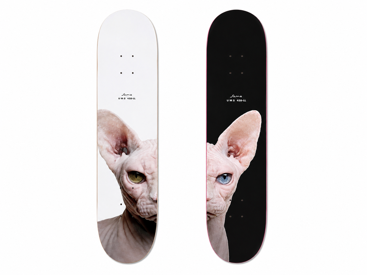 SHAPE SPHYNX UMS 458-LL x SOMA