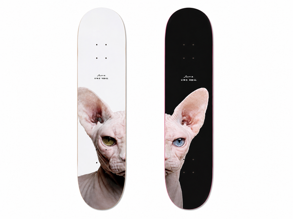 SHAPE SPHYNX UMS 458-LL x SOMA